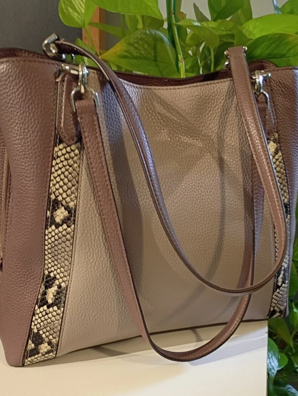 kate spade Taupe and Brown Tote with Snake-Print Trim